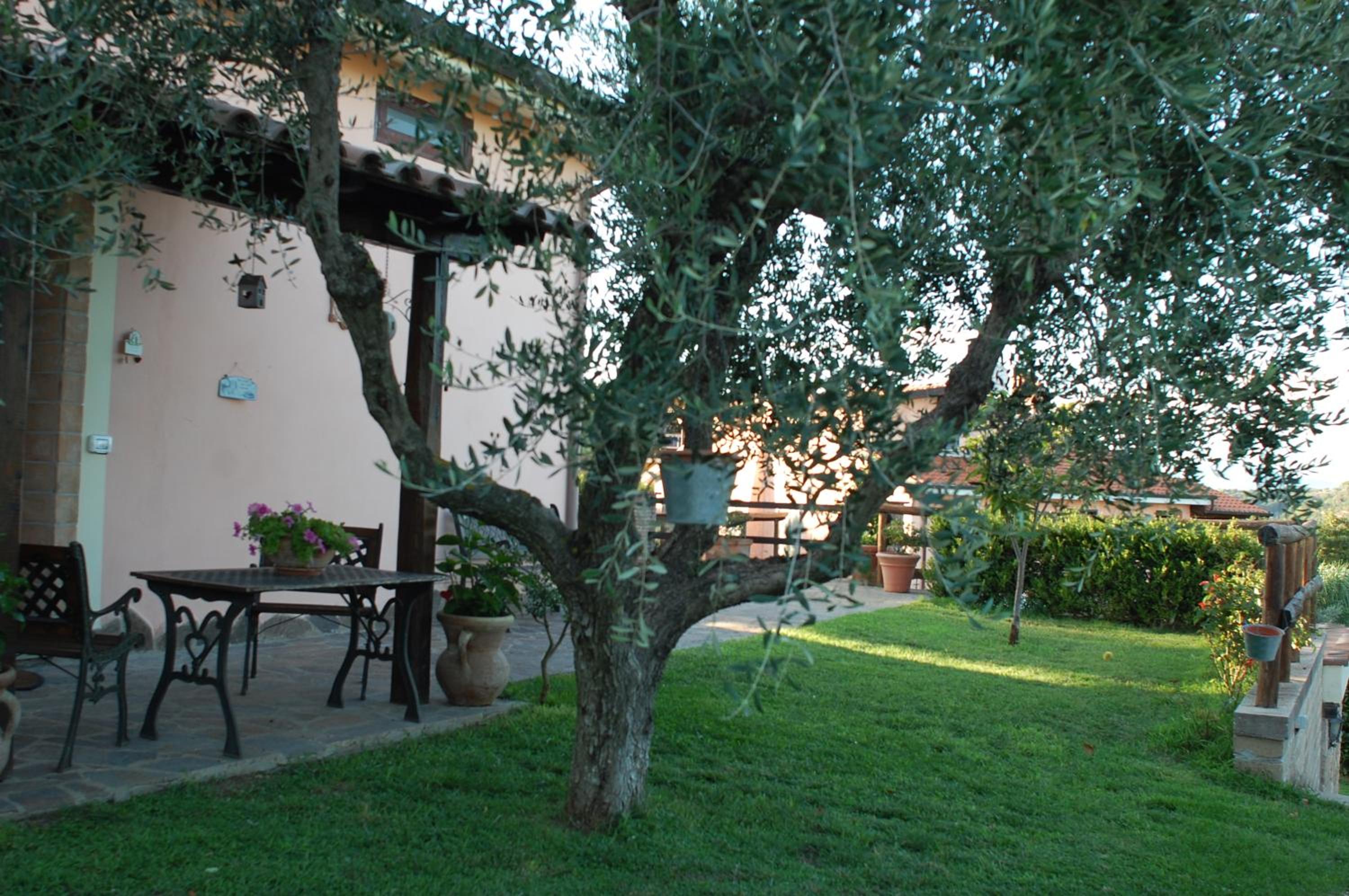 Photo 45