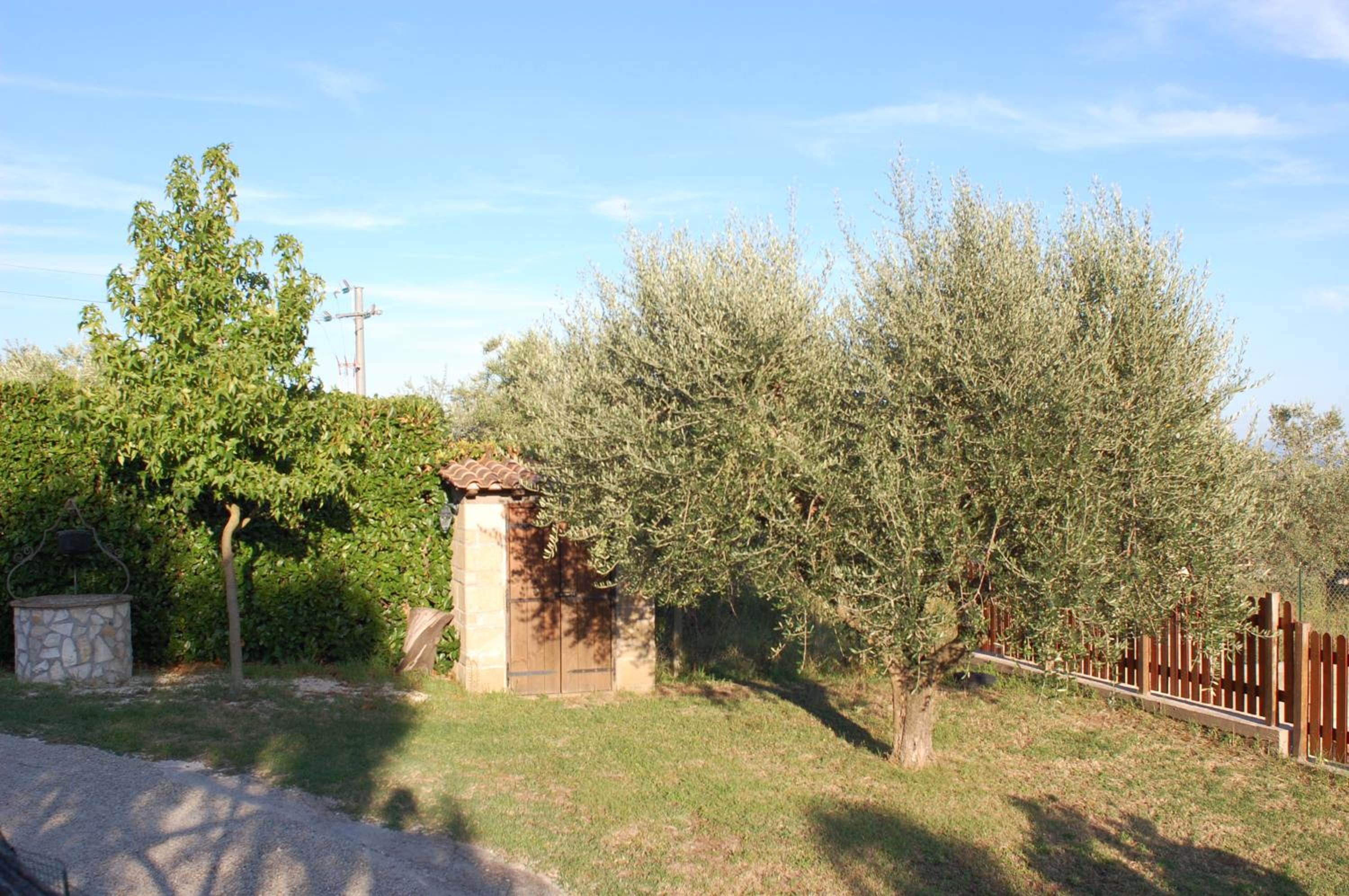 Photo 47
