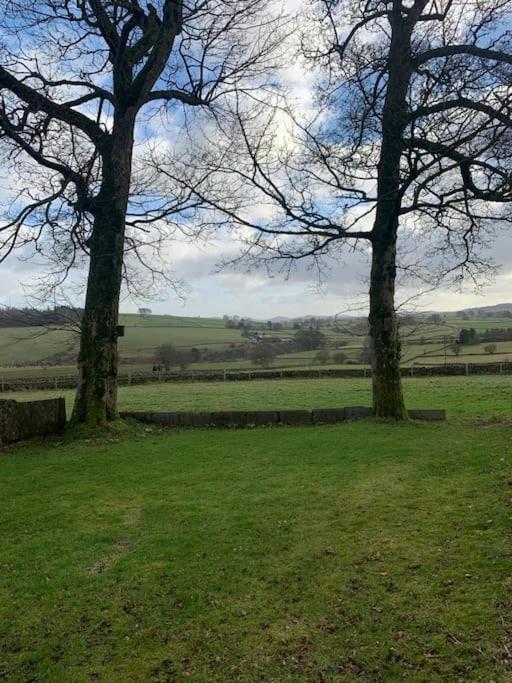 Ivy House view 3