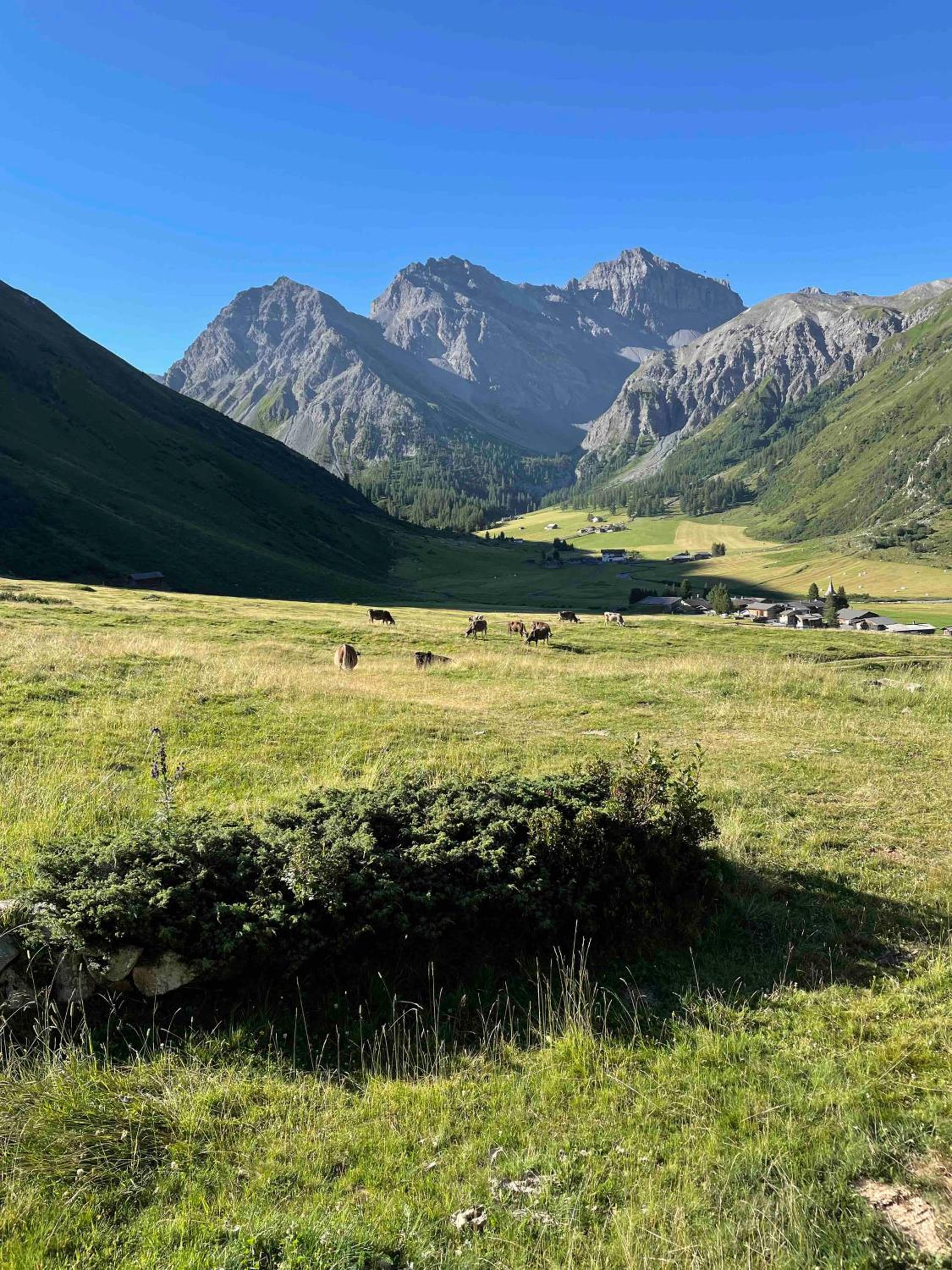 Zauberberg in voller Pracht