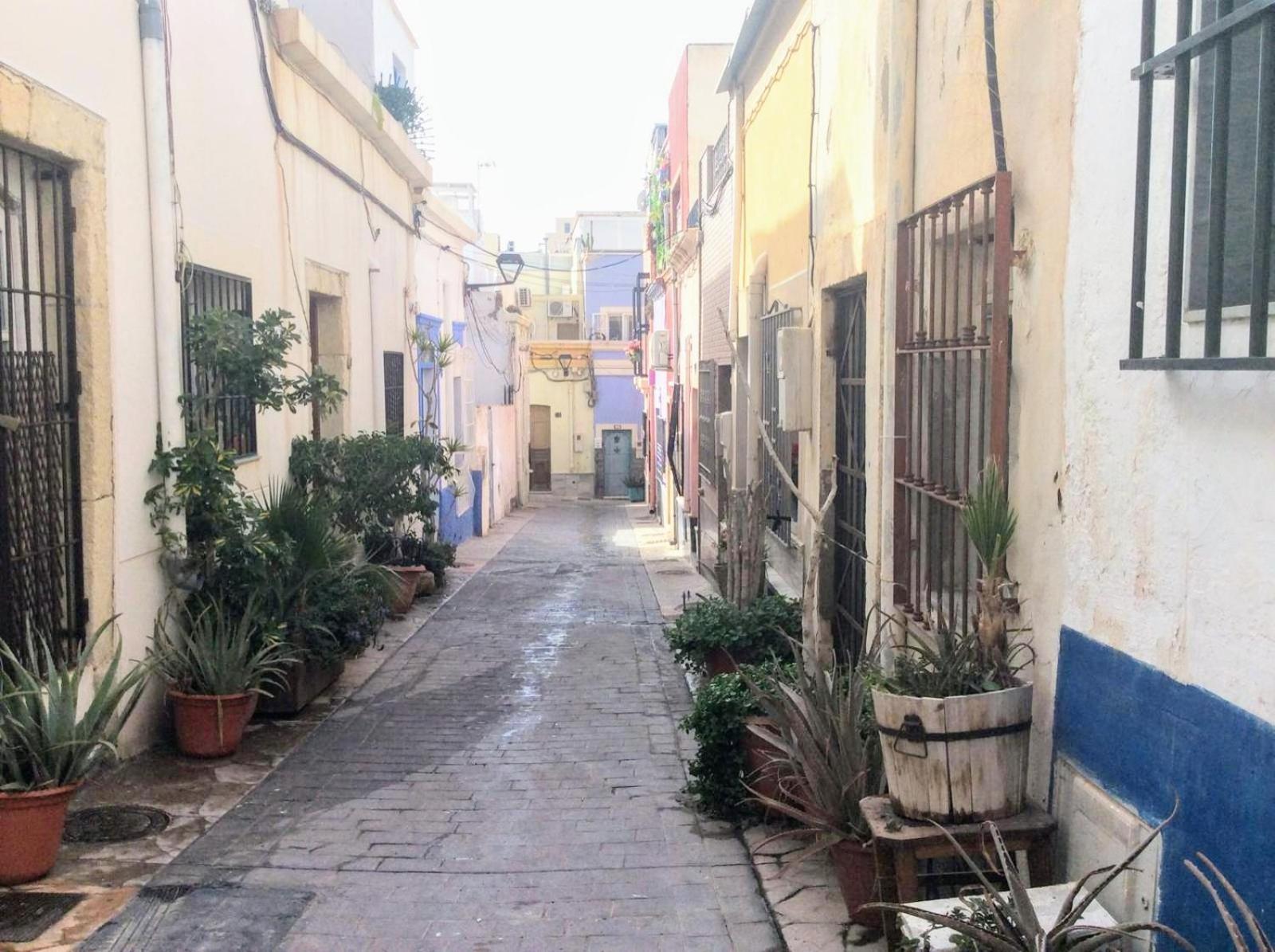 Casita entera la paloma bonita mirador vista a 360 grados - hasta 5 personas en el casco antiguo la médina centro almeria bajo alcazaba terraza buena vista