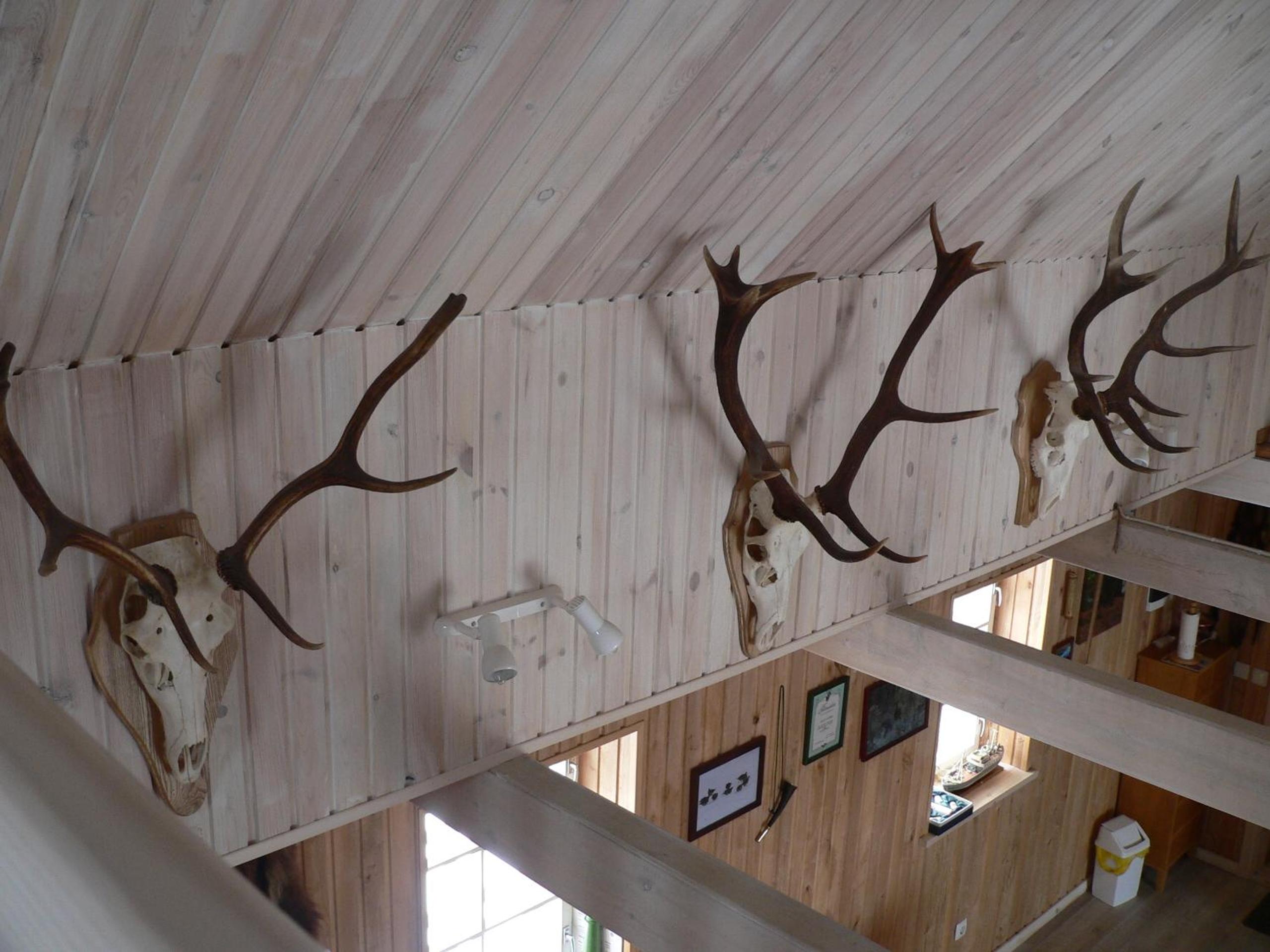 Photo 44
