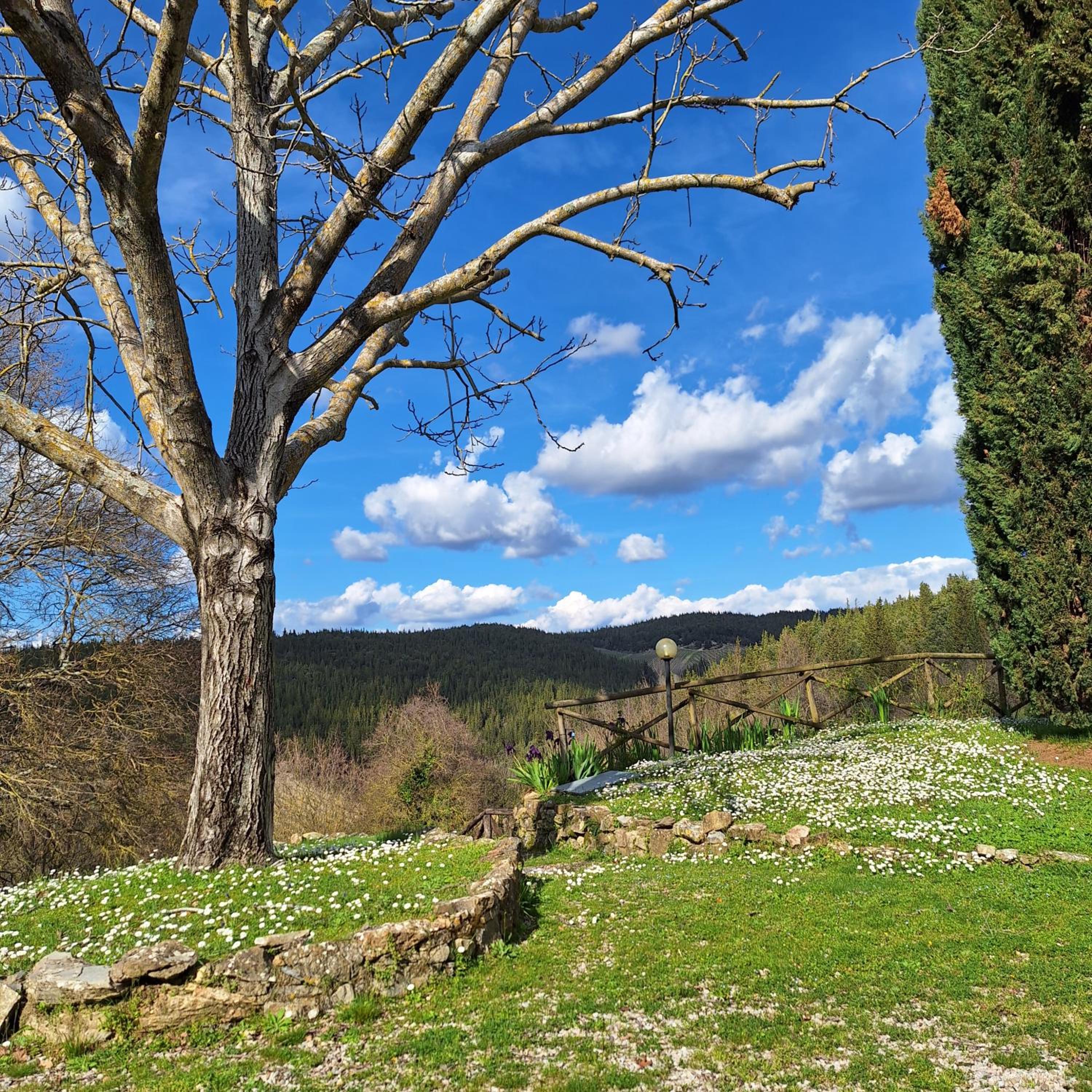 casa vacanze nel Chianti il Granaio view 3