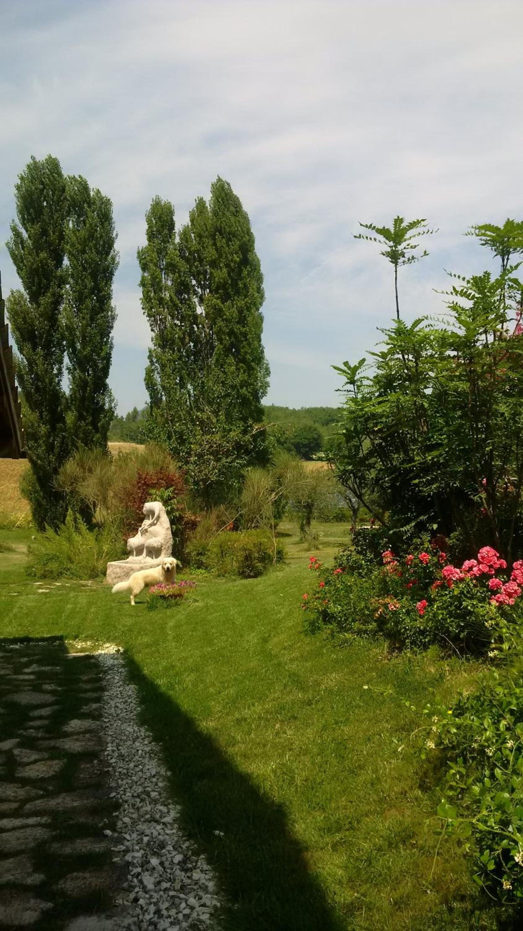 Photo 33