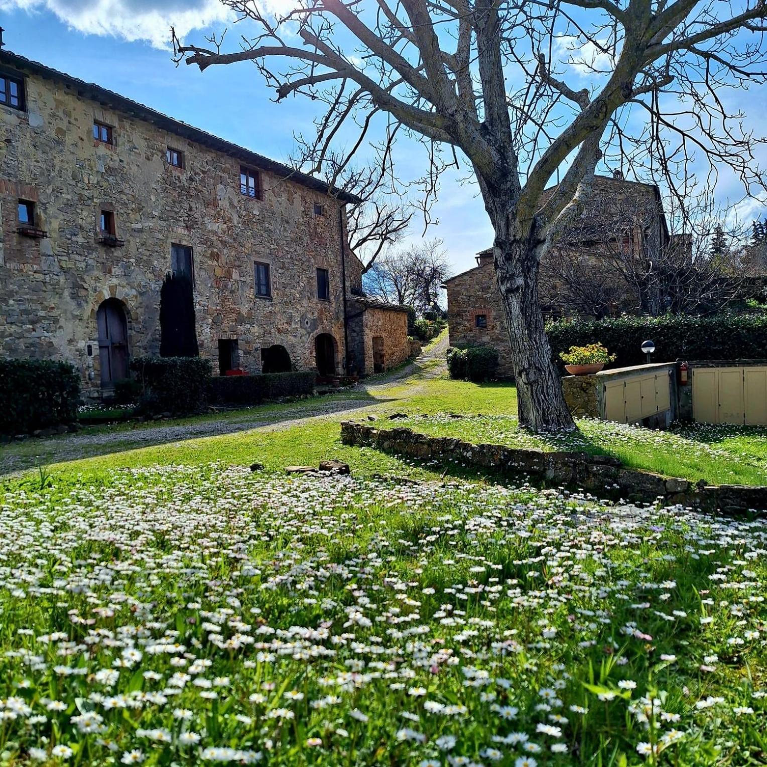 casa vacanze nel Chianti il Granaio view 2