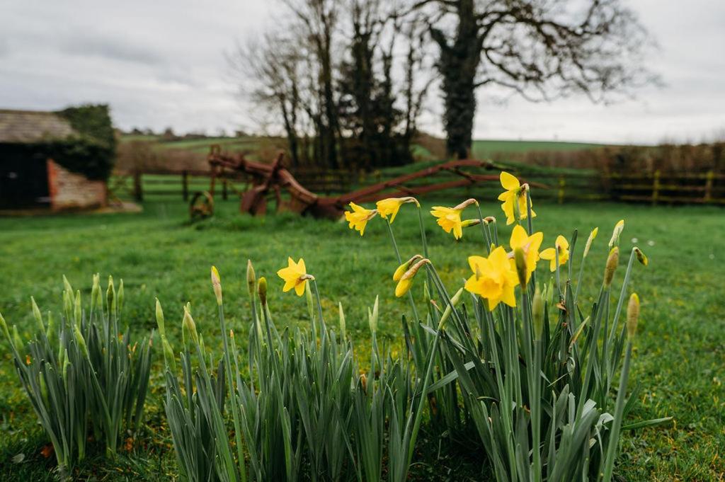 Lower Larkworthy Farmhouse