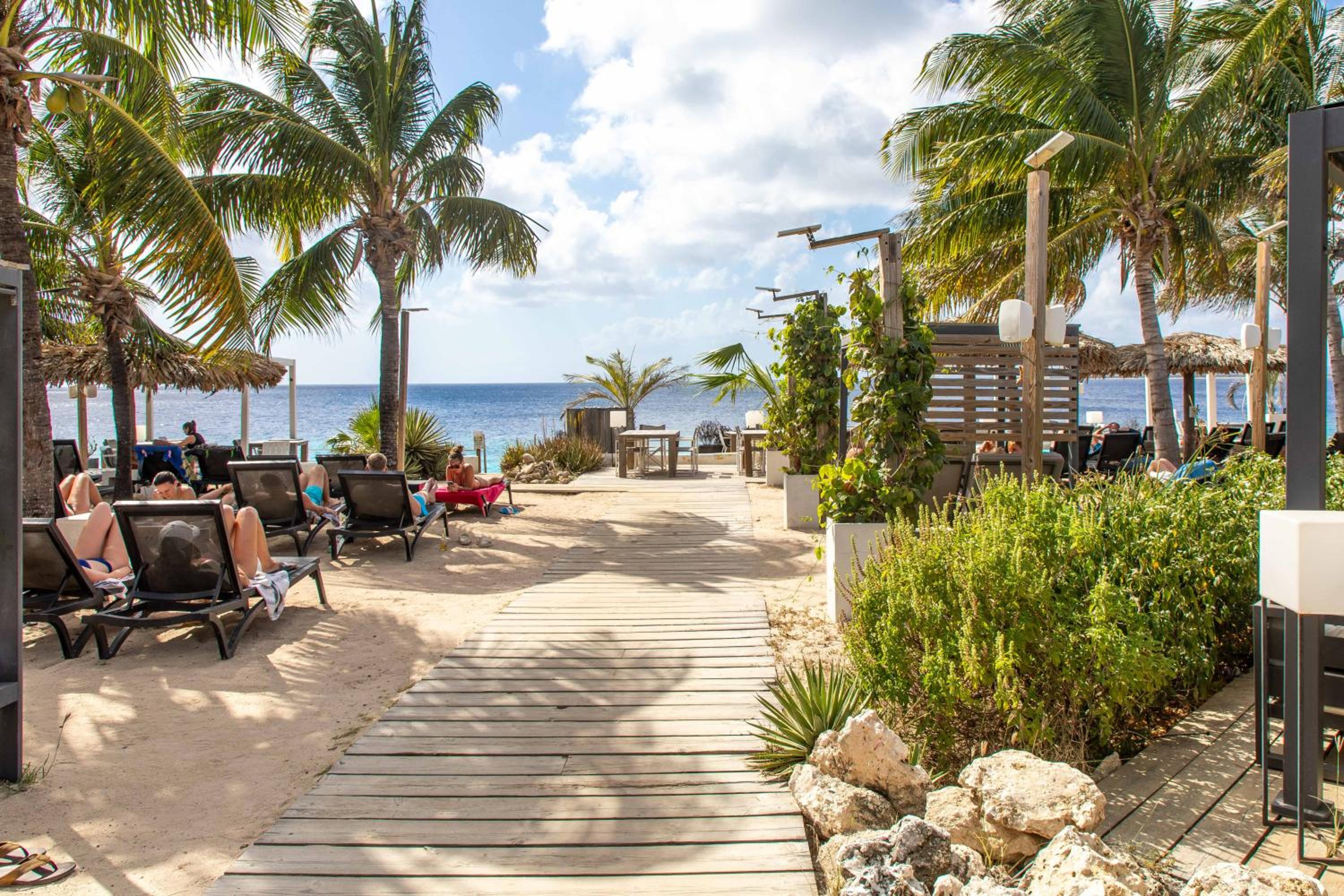 Windsock Caribbean Dream