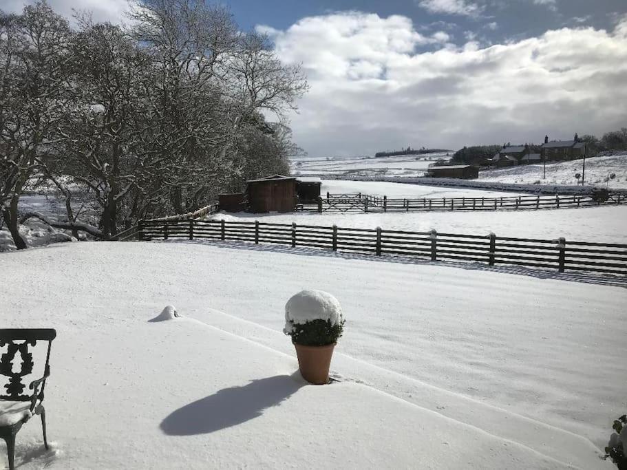 Homely Northumbrian Getaway