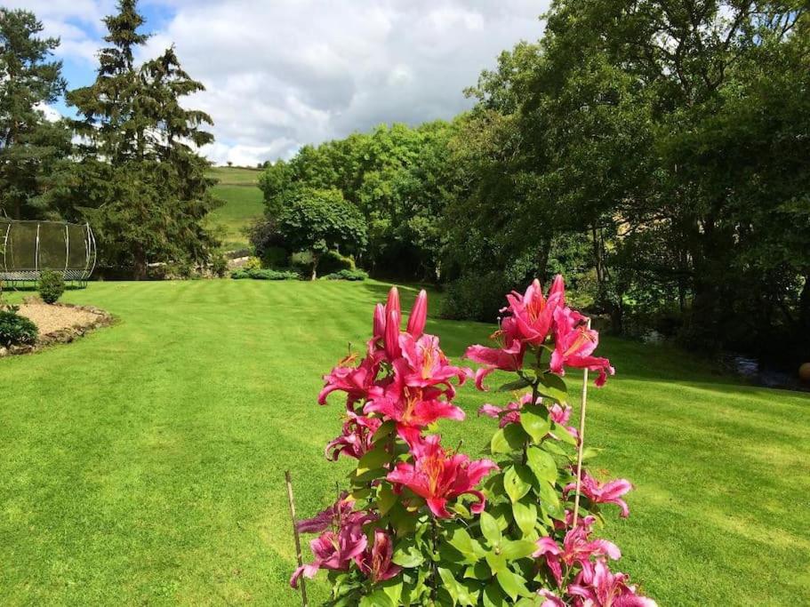 Homely Northumbrian Getaway