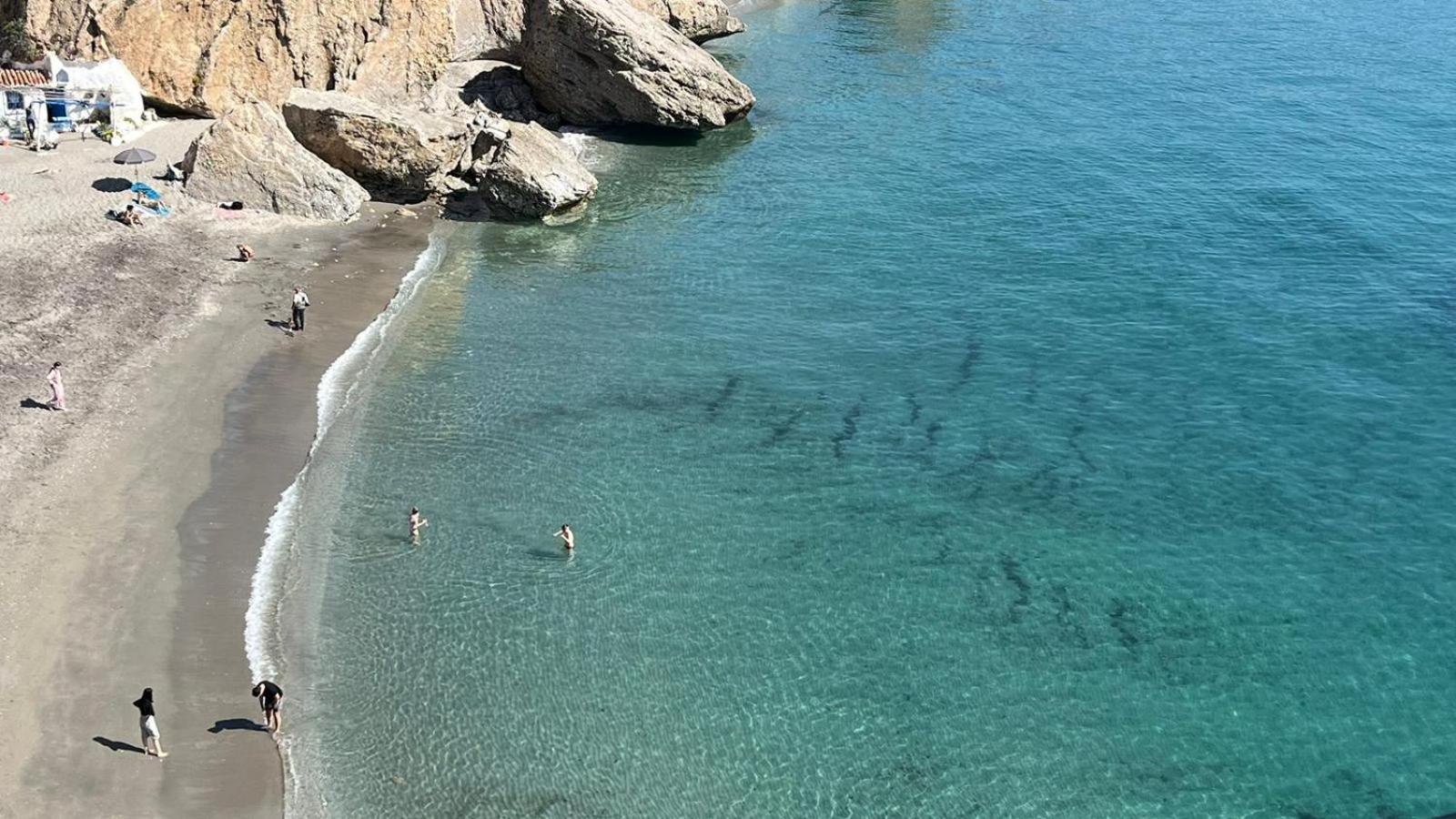 Delfín Nerja