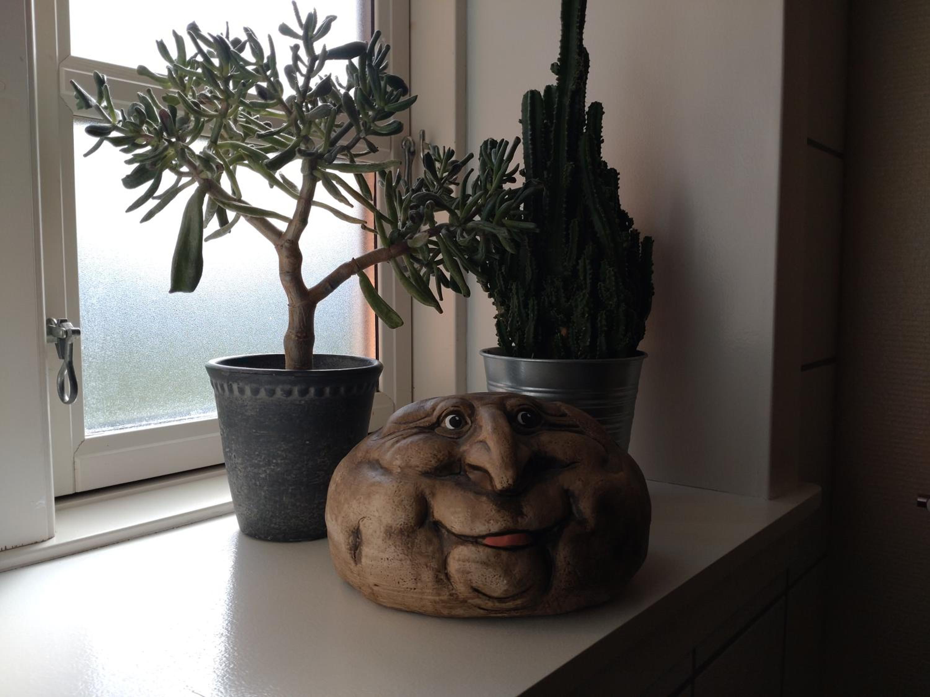 Photo 43