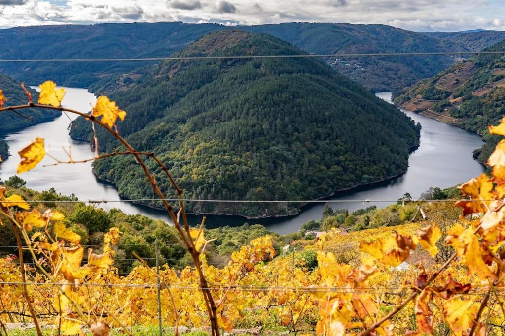 Casa El Mirador del Miño en la Ribeira Sacra view 5