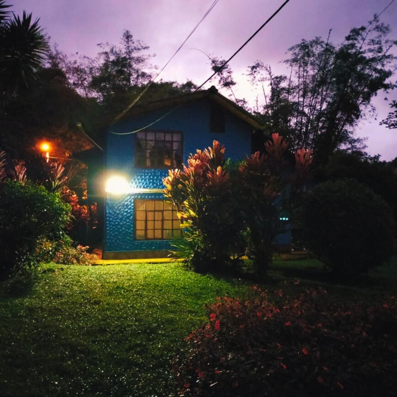 El Colibrí Azul