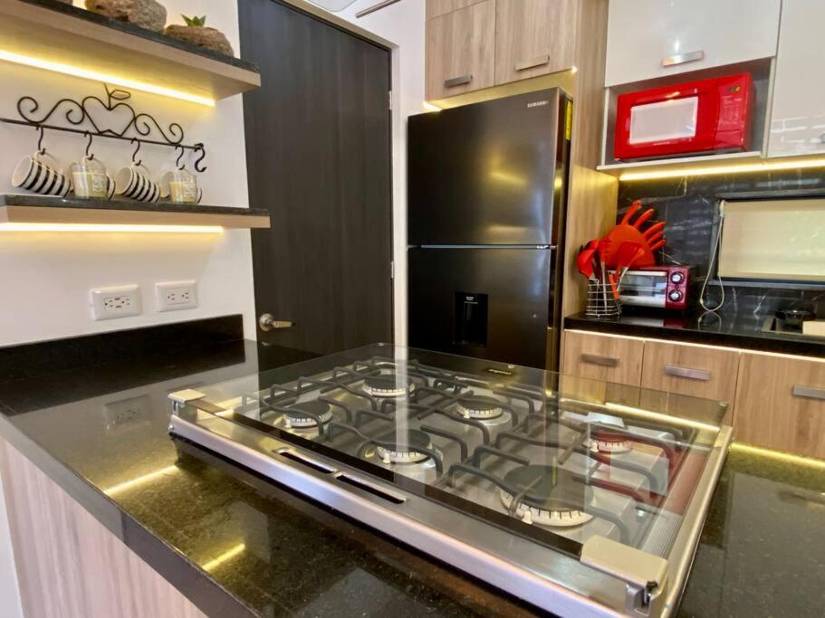 Luxurious and Modern Apartment in North Zone view 3