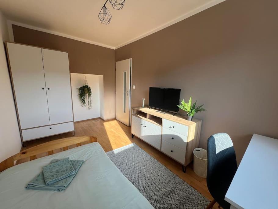 Apartmán v centre view 5