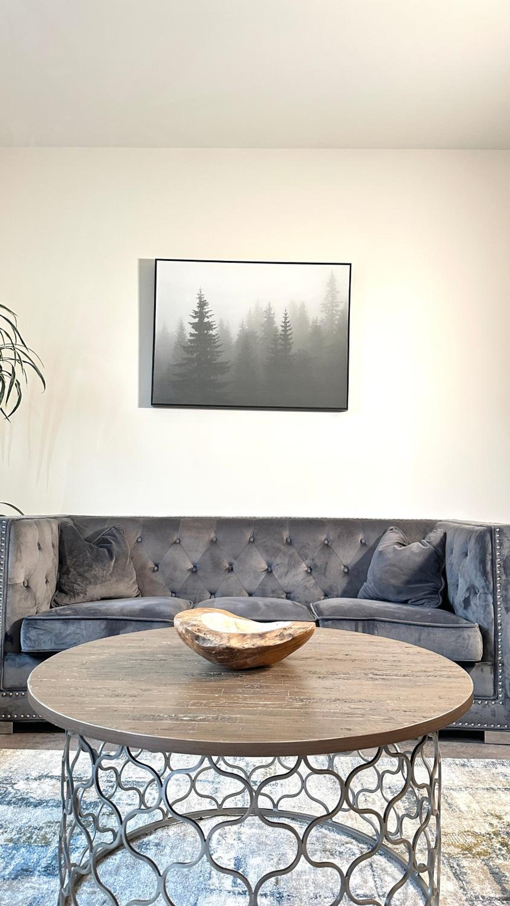 Photo 49