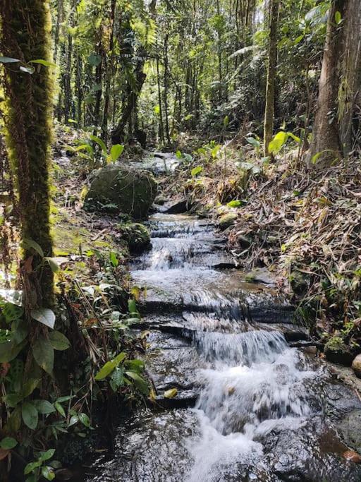 Casa Mohini Refúgio nas montanhas de Teresópolis Quarto com deck rede suspensa lareira cachoeira e piscina