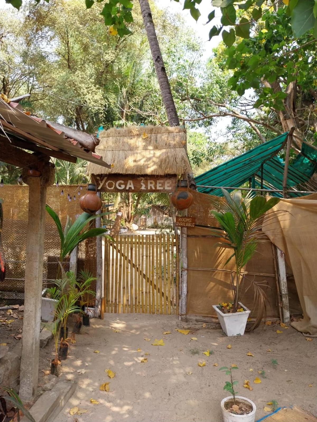 Yoga Culture Palolem