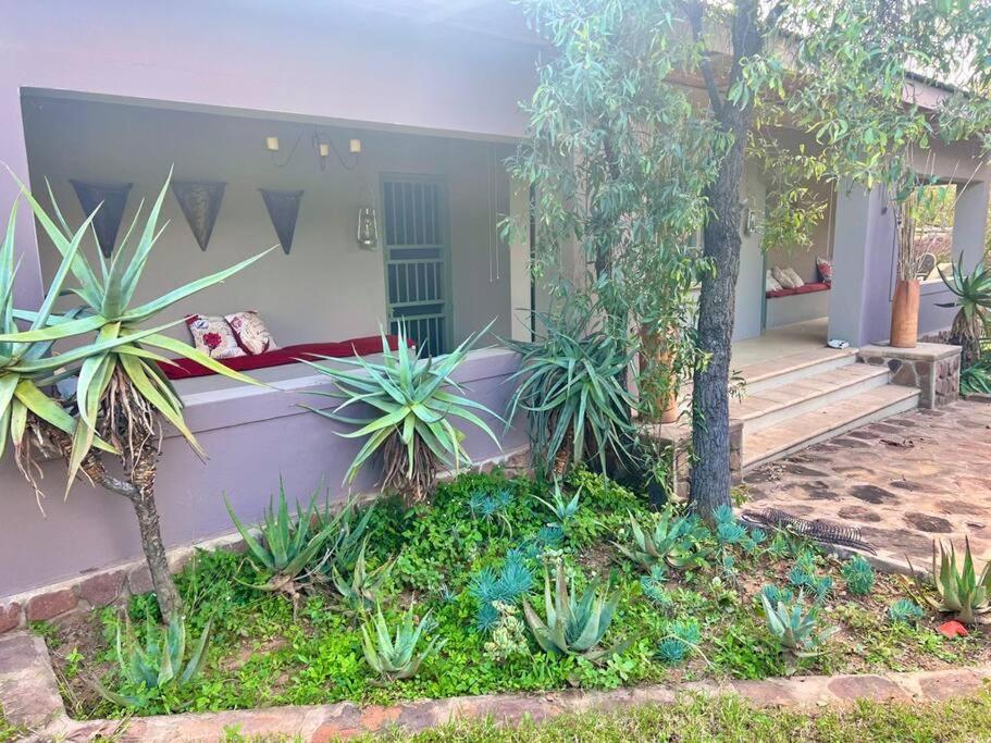 Rockey Mountain Bush lodge