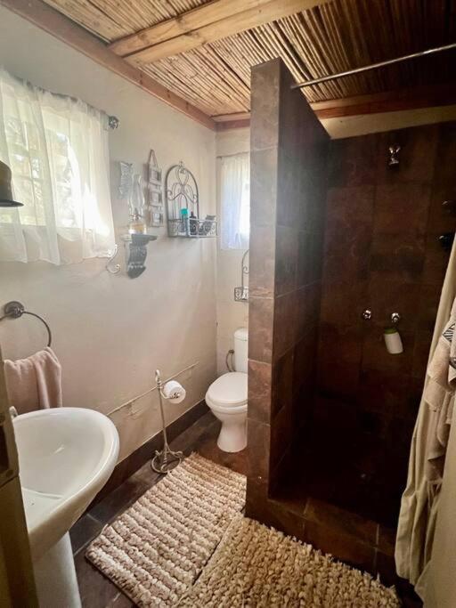 Rockey Mountain Bush lodge