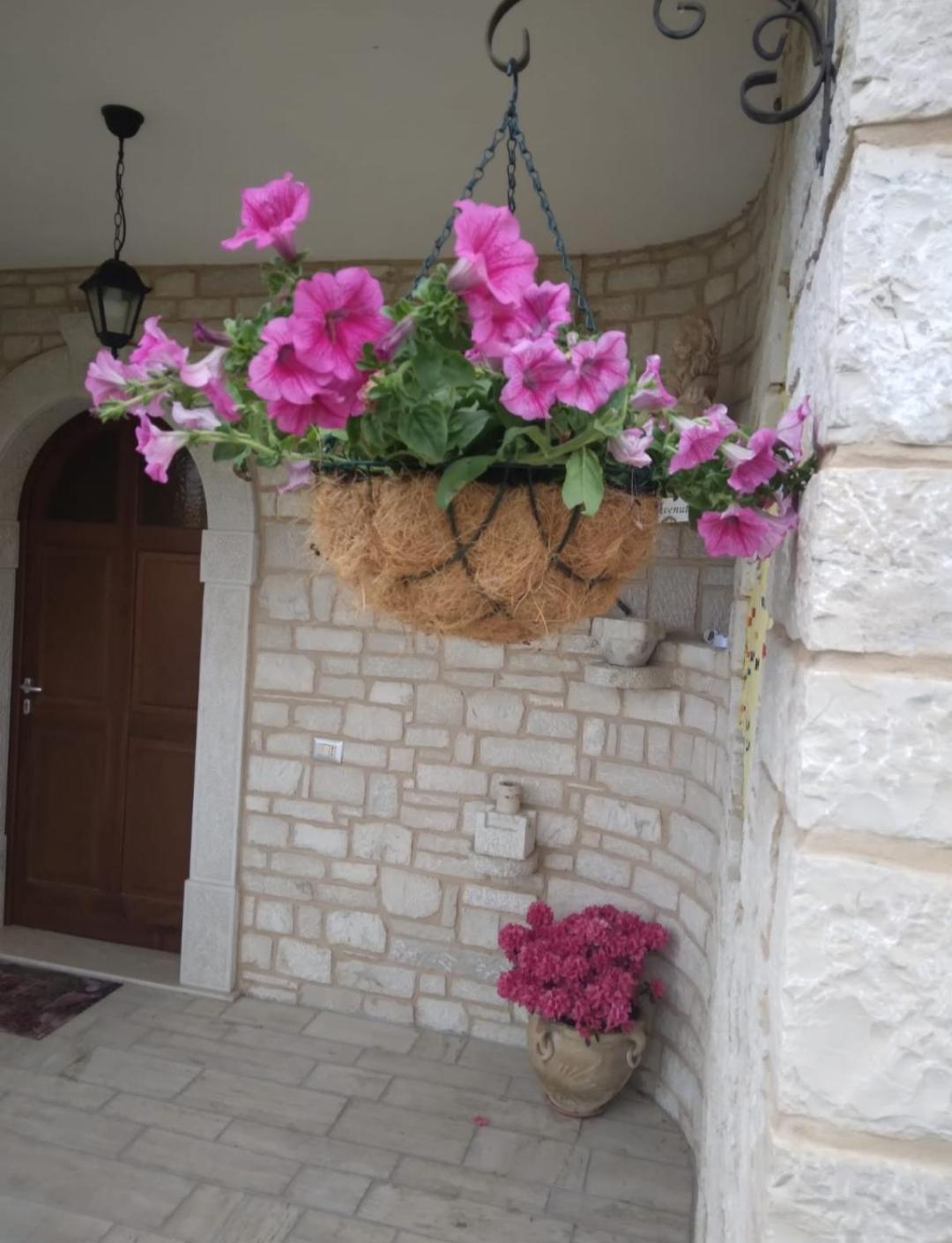 Photo 46