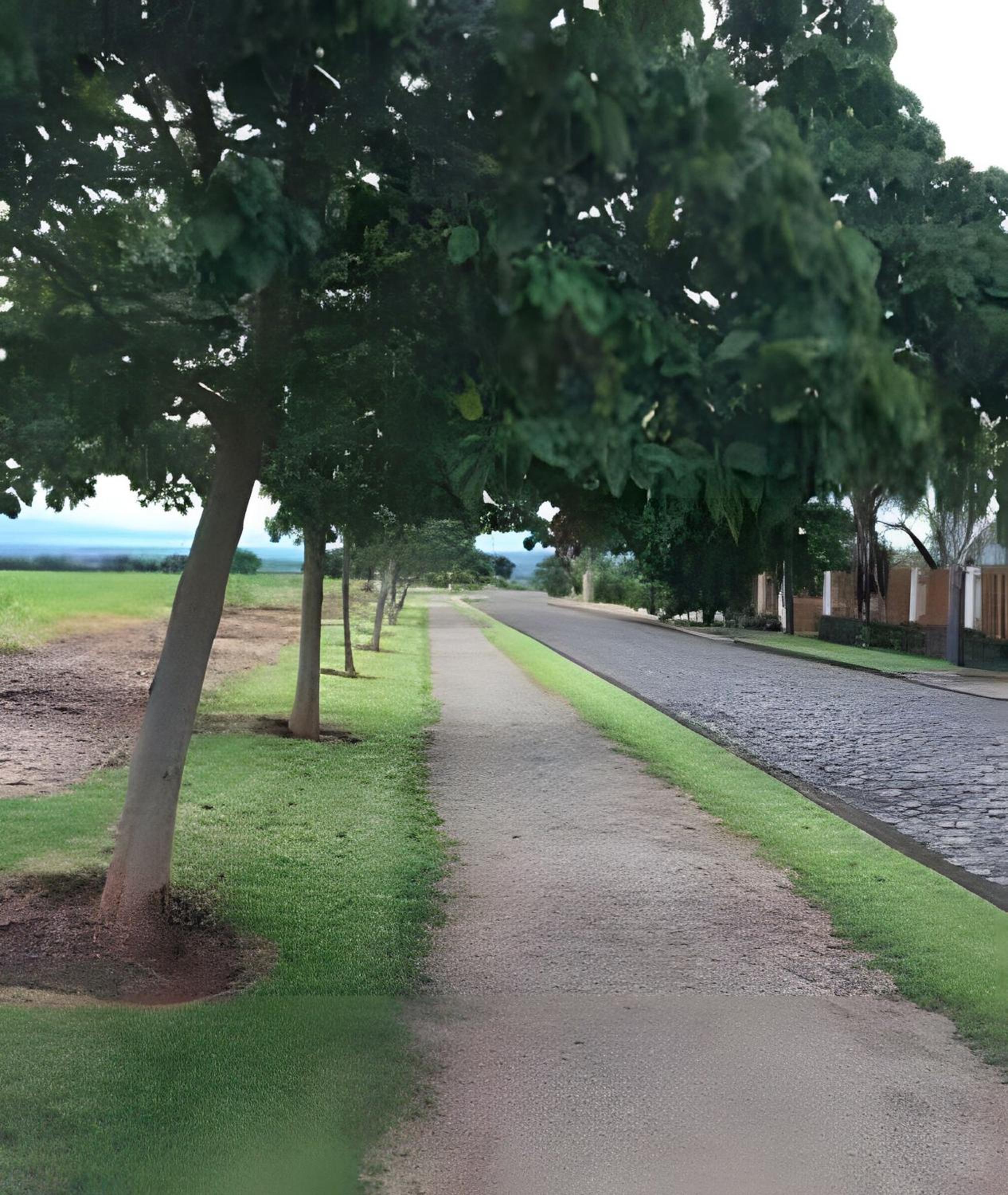 Casinha na Represa 2
