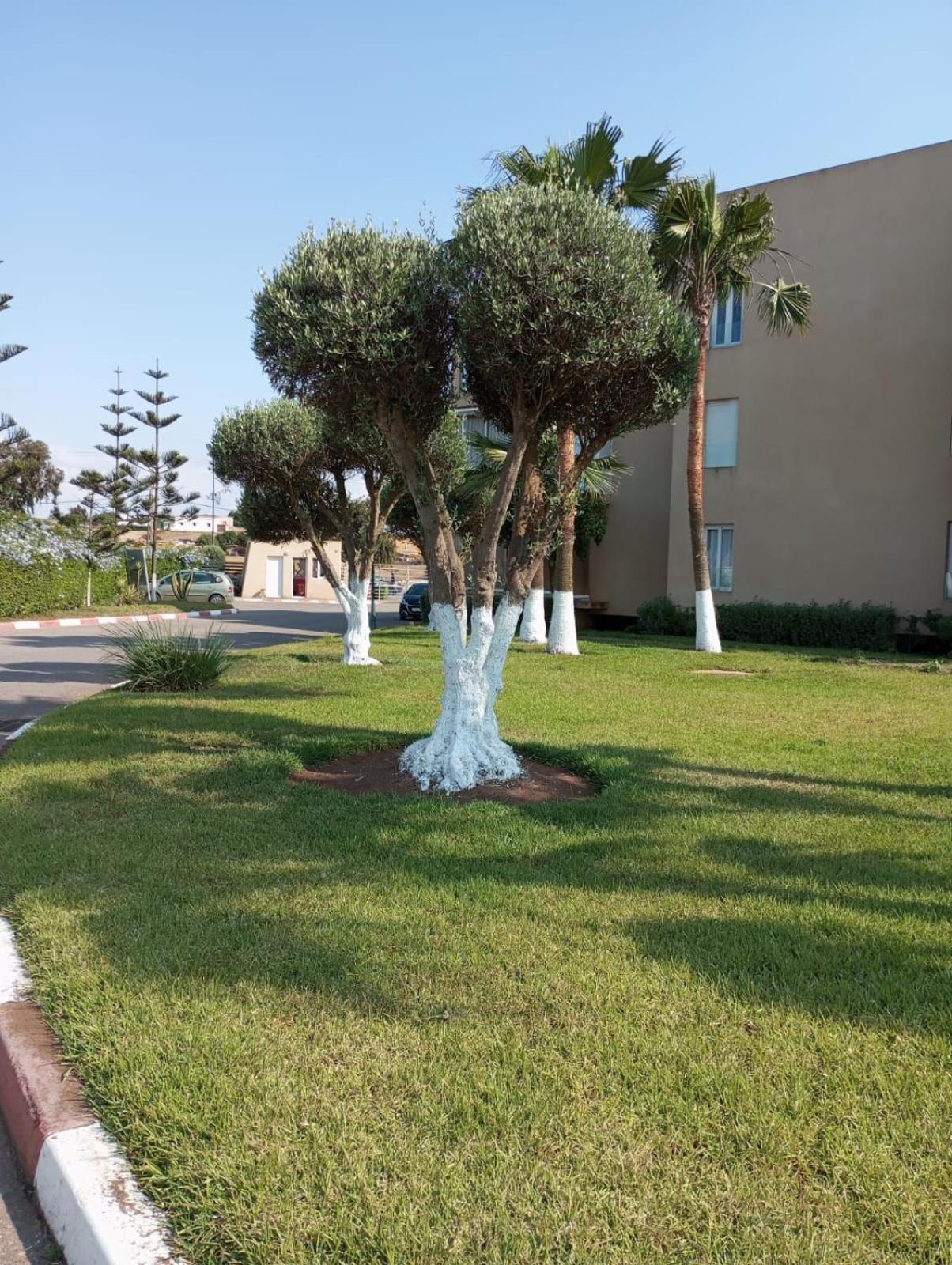 Tamaris Résidence les jardins Apparemment haut standing moderne et élégant 77 m view 3