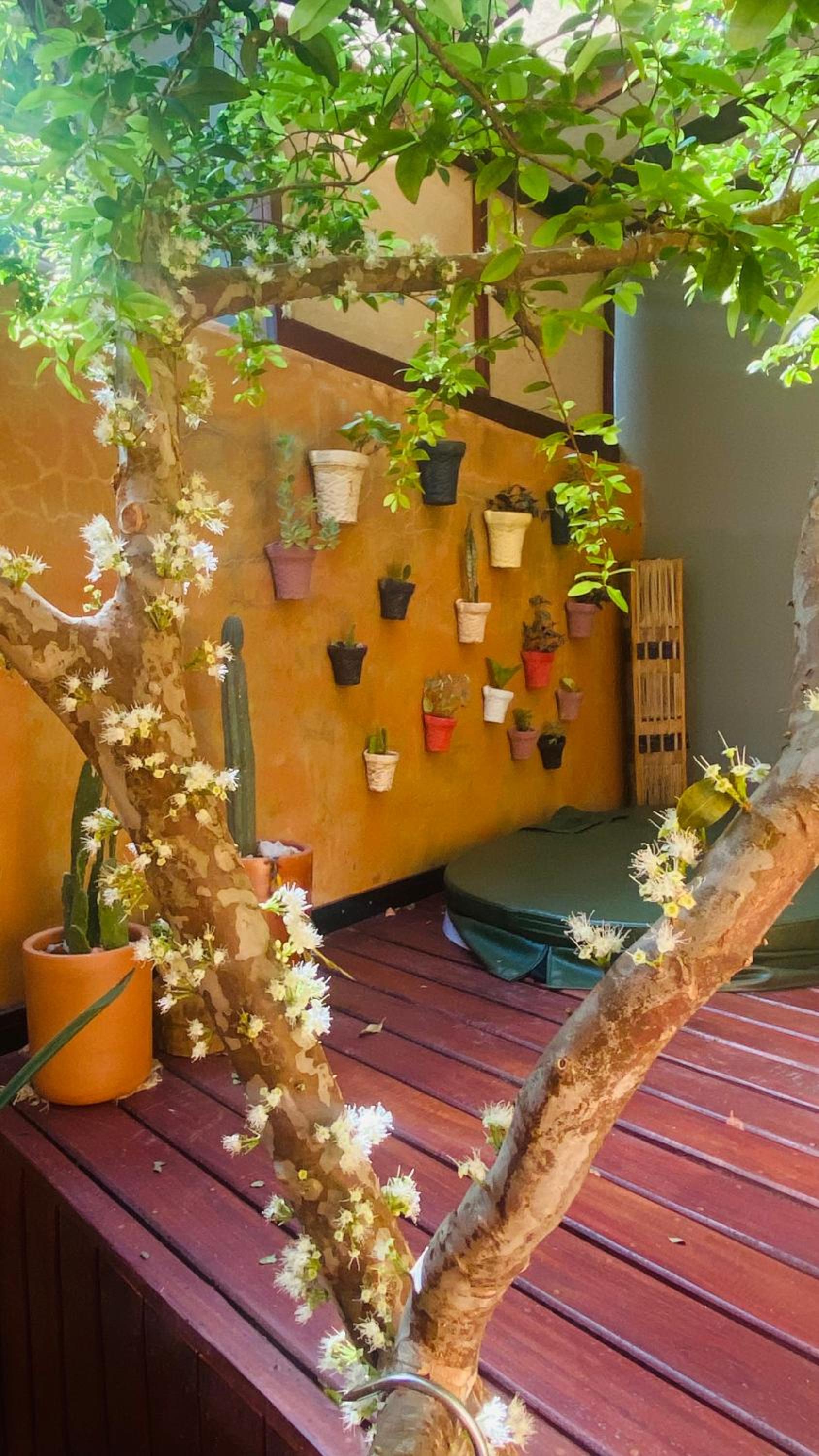 Casas Vila Encantada Refúgio, conforto e natureza, apenas 2 min da avenida