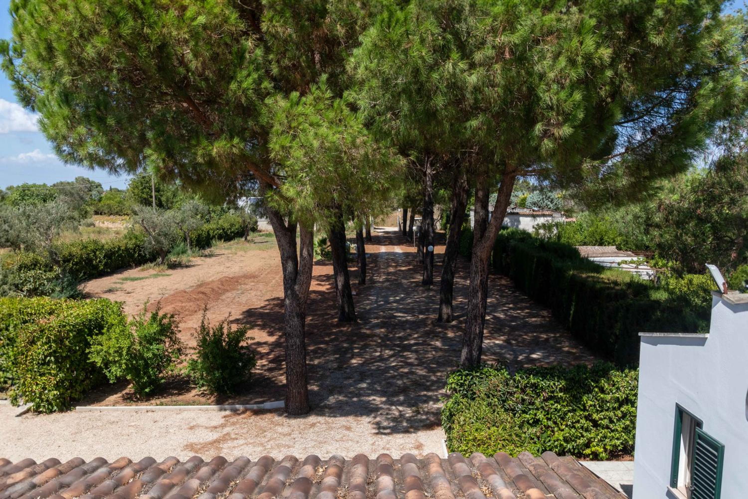 Villetta Fiore B&B view 4