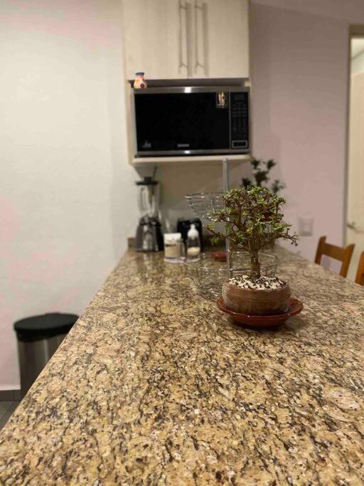 La Ropa Condo 5 min walk to the beach view 5