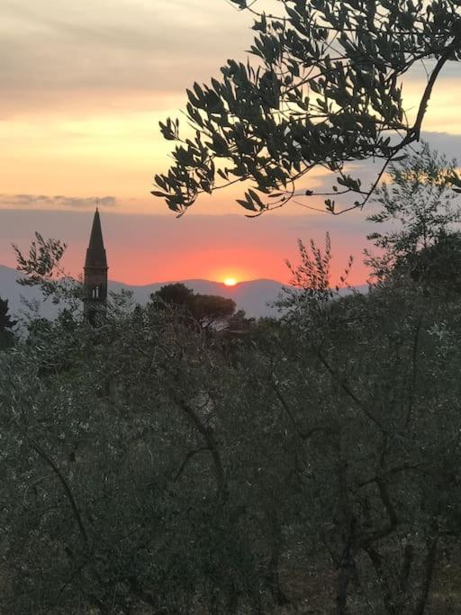 La Vedetta