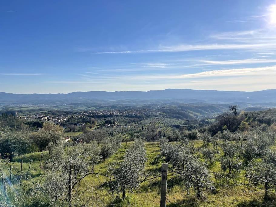 La Vedetta