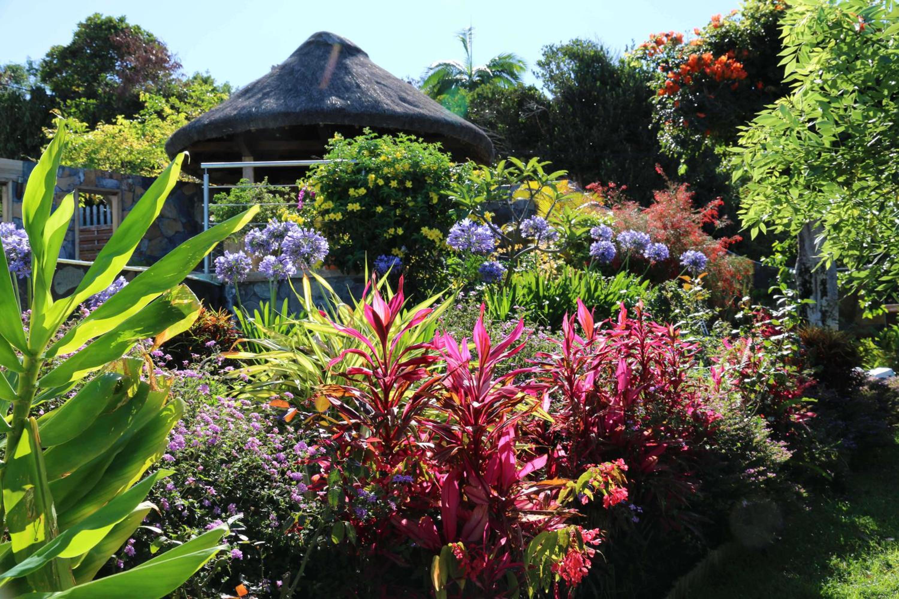 Villa Les Jacarandas