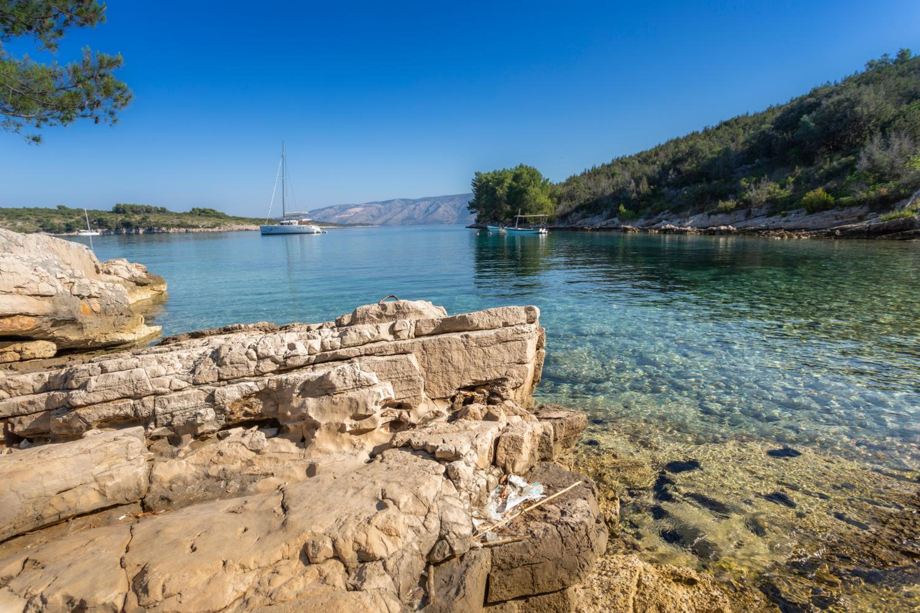 Doris Hvar