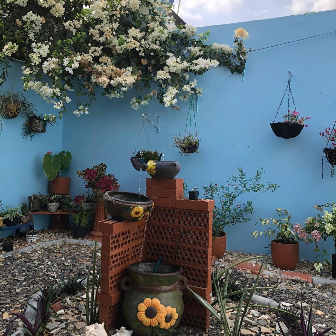 Casa Río donde guardamos un secreto encantador