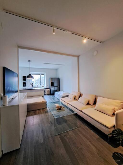 Renovated 64m2 apartment view 2