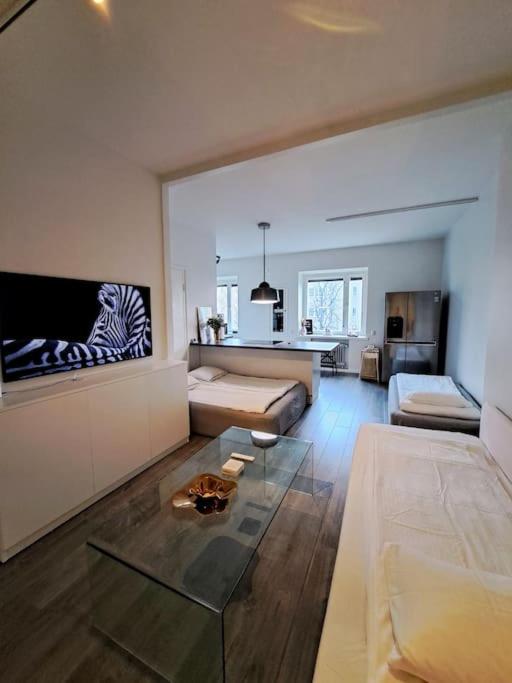 Renovated 64m2 apartment view 5