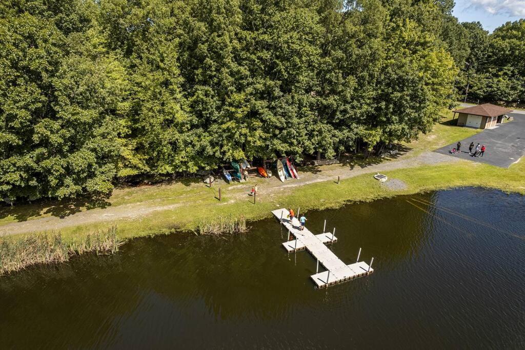 Photo 61