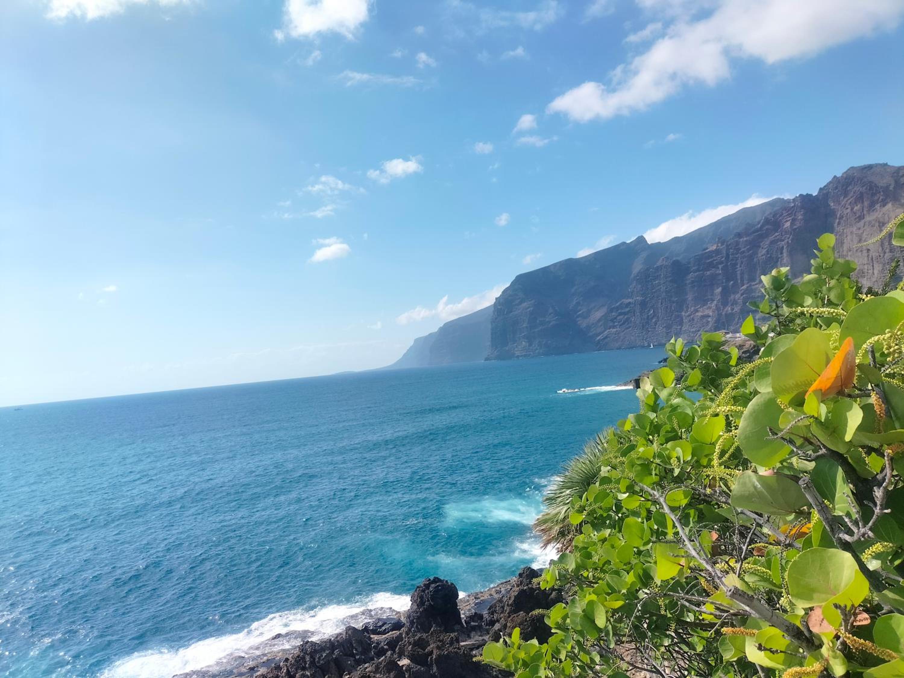 Tipaki Home Los Cristianos