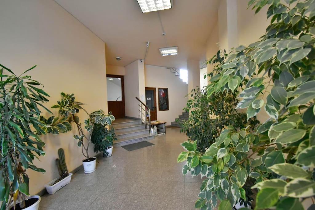 23 Central 1 Bedroom Apartment with Balcony