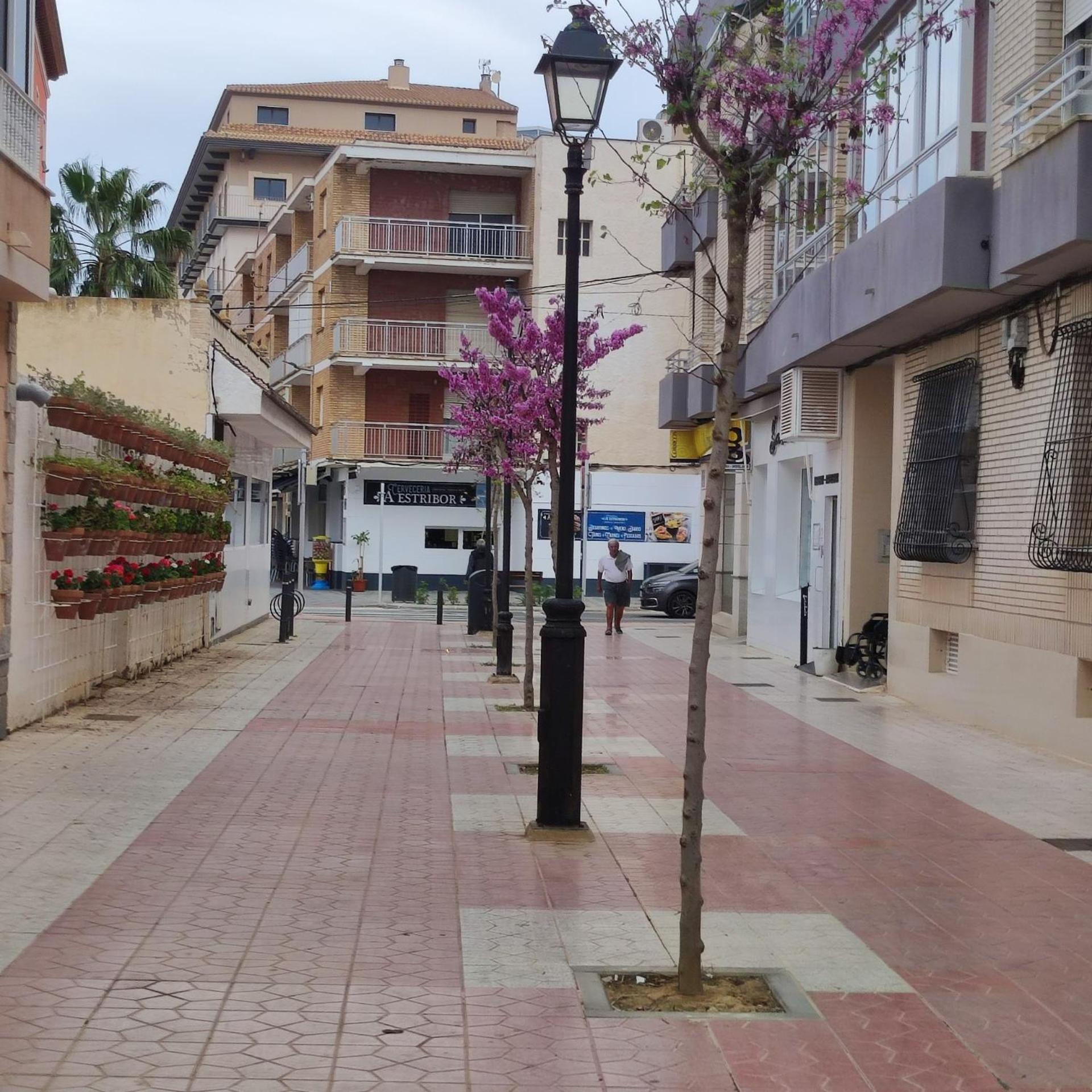 Apartamentos Costa II