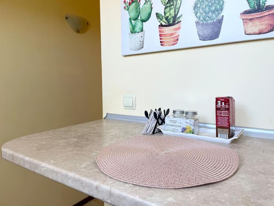 35 Cozy Central 1 Bedroom Apartment with Balcony