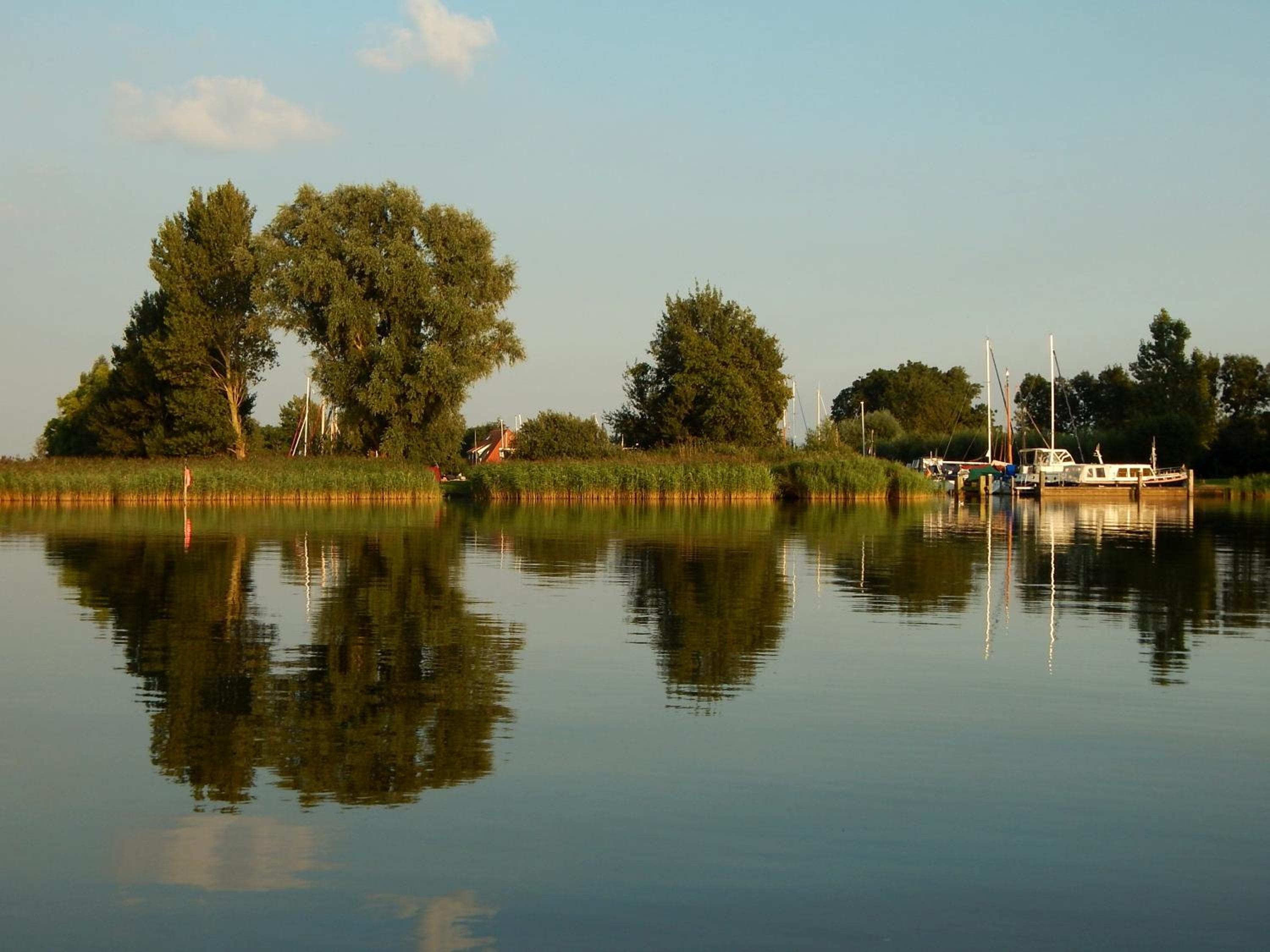 De Koevoet