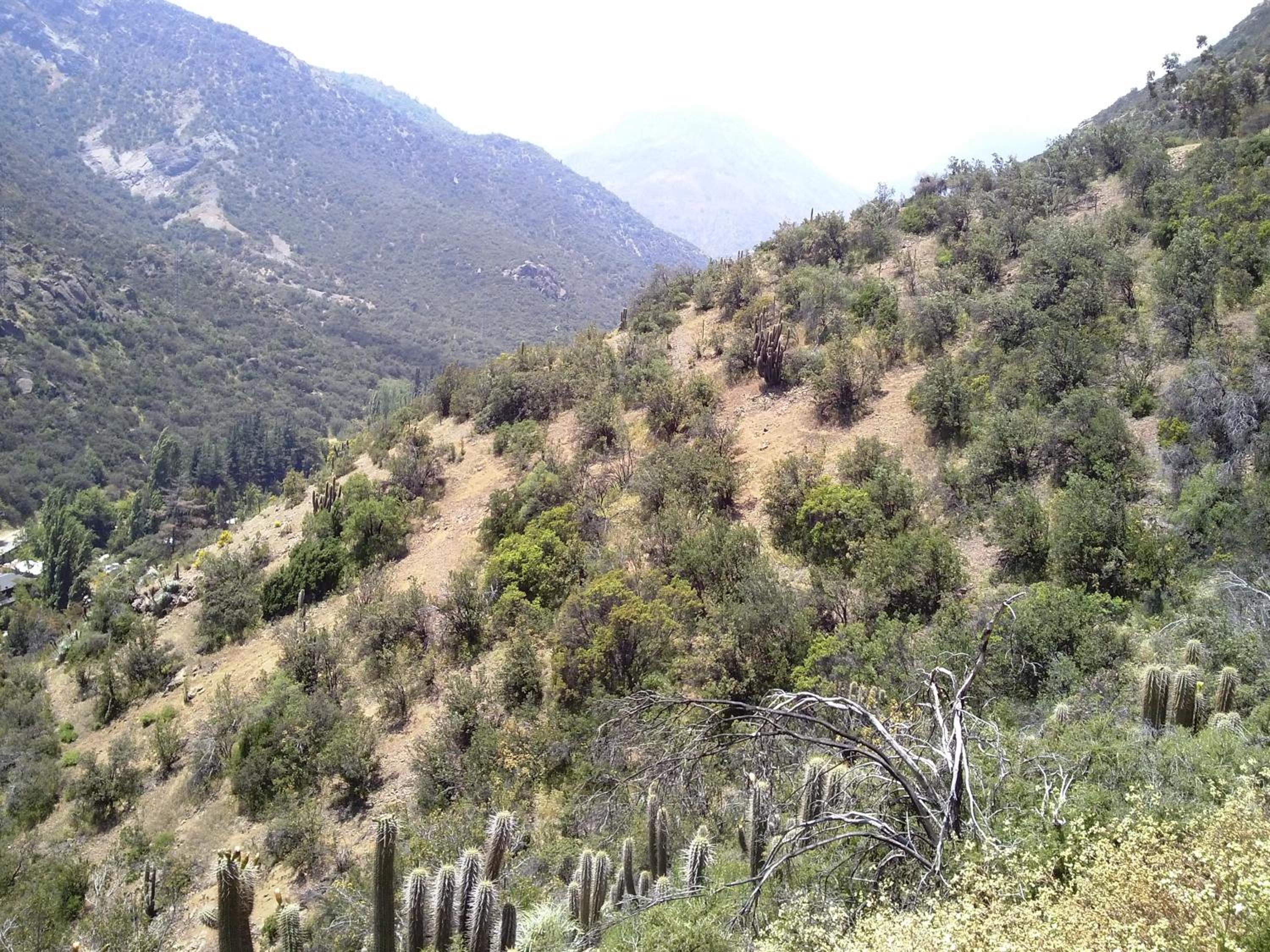 Refugio Atreyu