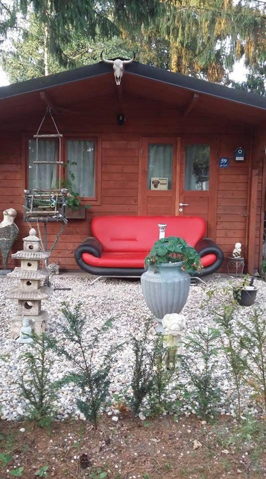 Chalet op een rustig park in de natuur view 2