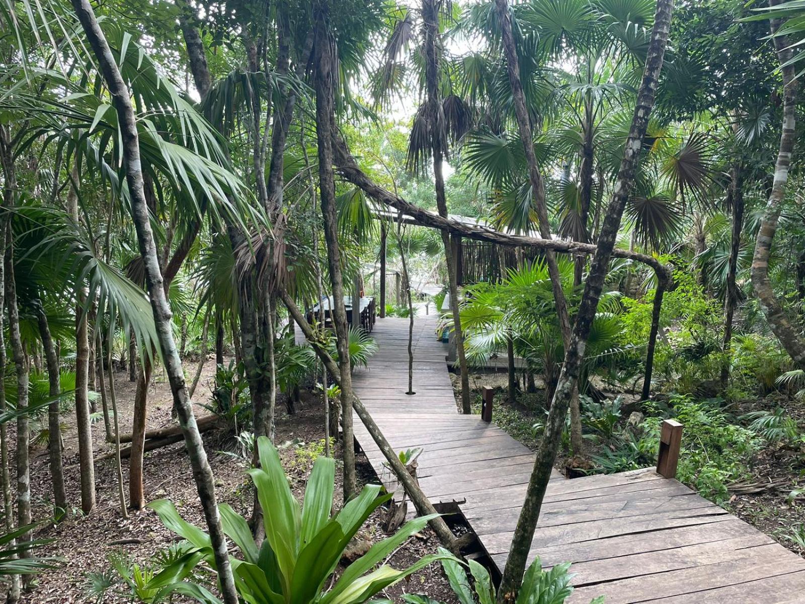 EcoStay SuKhA- Cabañas ecológicas frente a la laguna