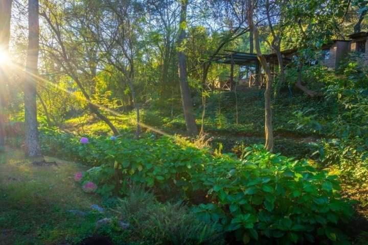 La Casita del bosque