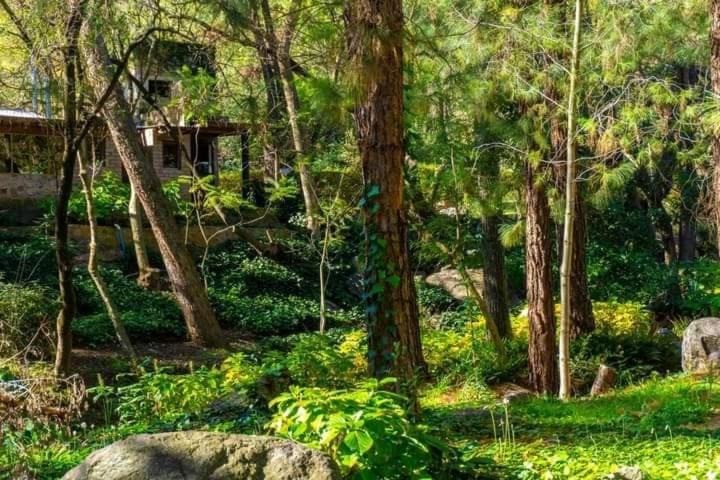 La Casita del bosque