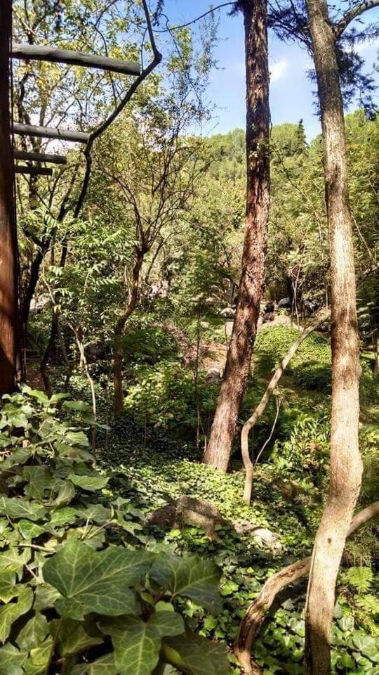 La Casita del bosque