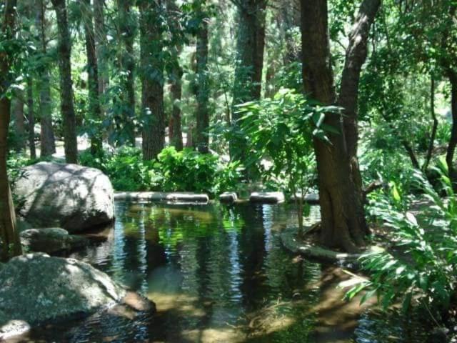La Casita del bosque